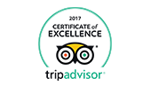 Partner Logo: Trip Advisor