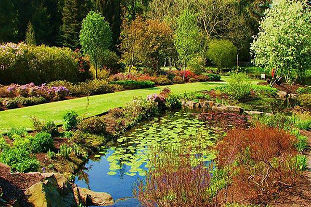 St Andrews Botanic Gardens