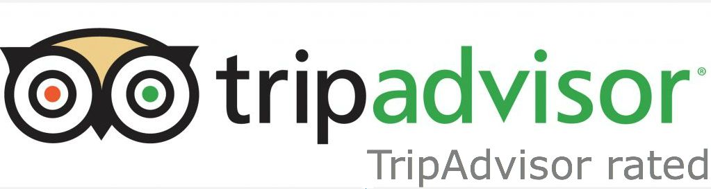 Trip Advisor Logo